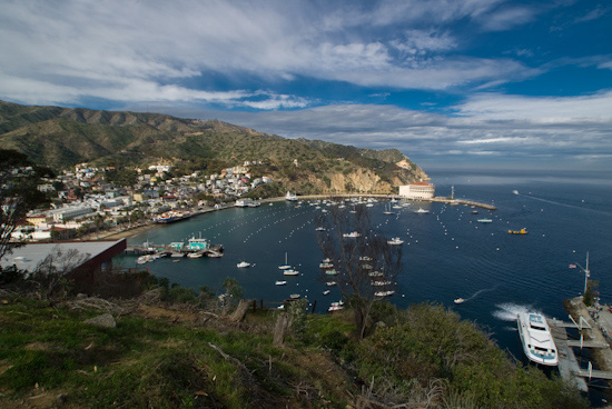 Overlooking Avalon, Catalina Island